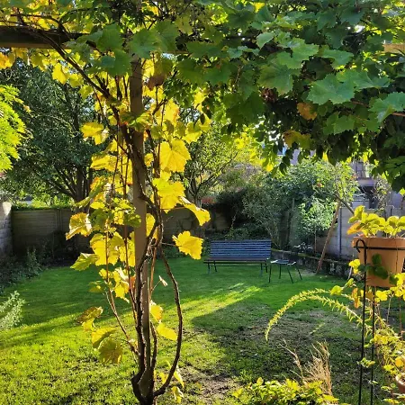 'de Stadstuin' Appartement *