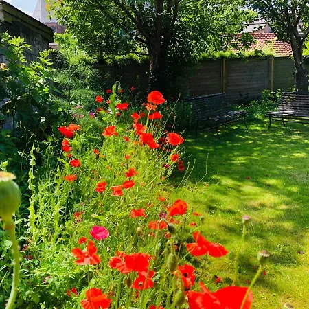 'de Stadstuin' Appartement *