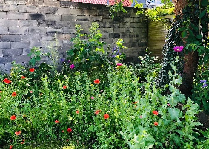 'de Stadstuin' Harderwijk