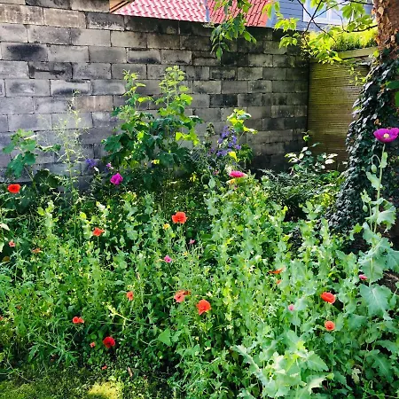 'de Stadstuin' Harderwijk