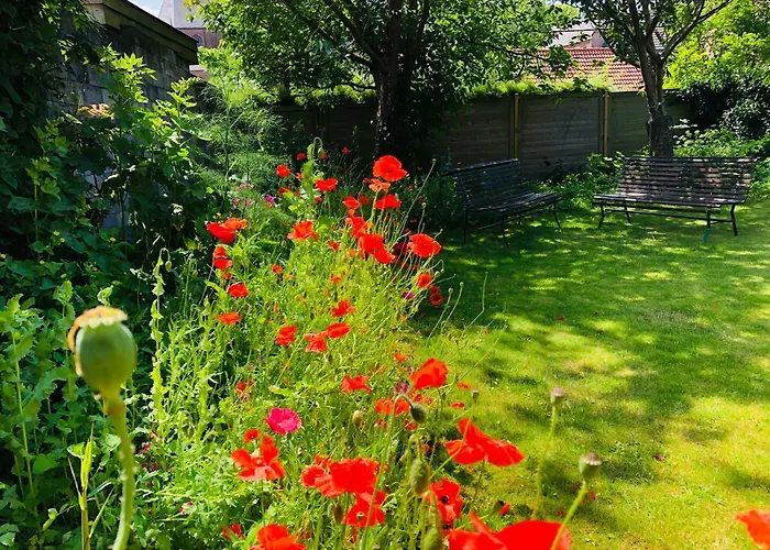 'de Stadstuin' Appartement *